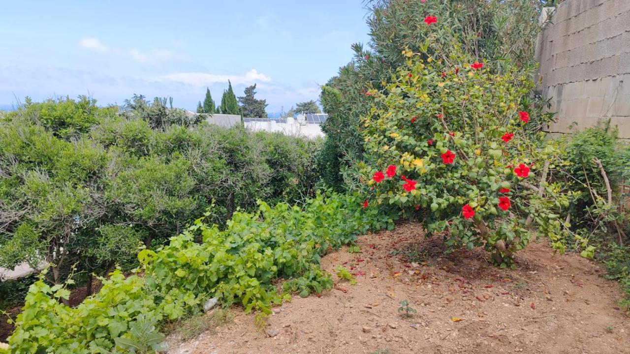 Stunning Villa With Pool, Table Tennis, Table Soccer And A Pool Table Naxxar Exterior foto