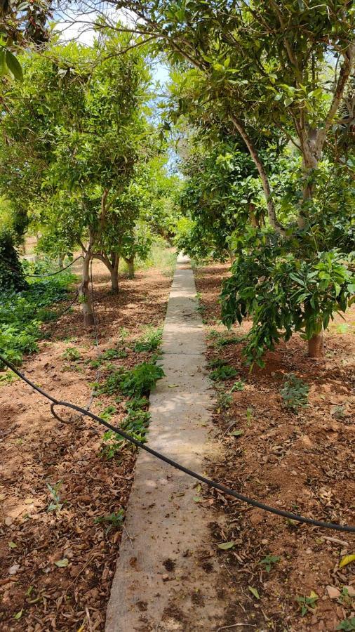 Stunning Villa With Pool, Table Tennis, Table Soccer And A Pool Table Naxxar Exterior foto